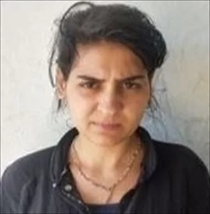 ANKARA (AA) – Milli İstihbarat Teşkilatı (MİT), PKK/KCK-PYD/YPG'nin sözde Münbiç