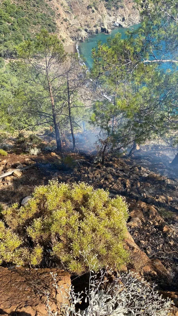 Muğla'da ormanlık alanda çıkan yangın söndürüldü