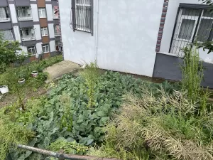 ORDU (AA) – Ordu'nun Altınordu ilçesinde apartmanın 5'inci katından düşerek