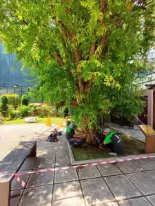 GÜMÜLCİNE (AA) – Türkiye Cumhuriyeti'nin kurucusu Gazi Mustafa Kemal Atatürk'ün