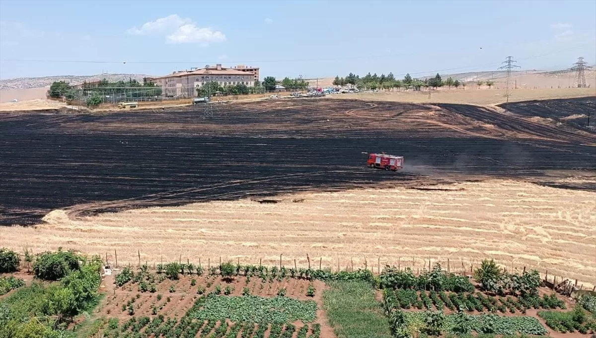 Siirt'te tarlalarda çıkan anız yangını bahçelere sıçramadan söndürüldü