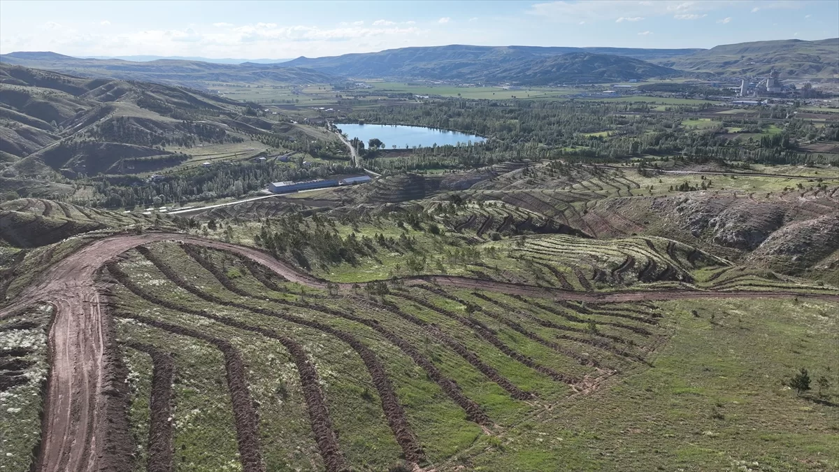 Sivas'ta 100 bin fidanın dikileceği “Türkiye Yüzyılı Valilik Ormanı” oluşturuluyor
