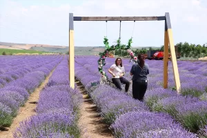 TEKİRDAĞ (AA) – Tekirdağ'da bu yıl üçüncü kez düzenlenecek "Tekirdağ