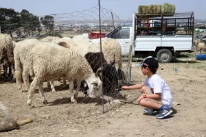 TUNUS (AA) – MEHMET AKİF TURAN – Tunus'ta yüksek fiyatlar