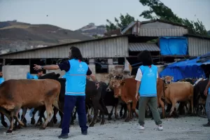 ANKARA (AA) – Türkiye Diyanet Vakfı (TDV), deprem bölgesinde 316