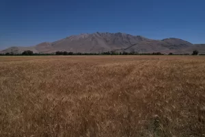 KAHRAMANMARAŞ (AA) – "Asrın felaketi" olarak nitelenen 6 Şubat'taki depremlerden