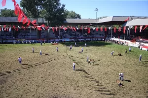 EDİRNE (AA) – 662. Tarihi Kırkpınar Yağlı Güreşleri'nde son gün