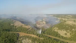 ADANA (AA) – Adana'nın merkez Sarıçam ilçesinde çıkan orman yangınına