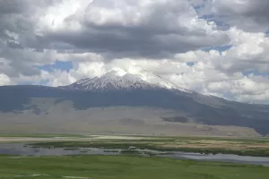 AĞRI (AA) – Ağrı'nın Doğubayazıt ilçesine bağlı Karabulak köyündeki sazlıklarda,