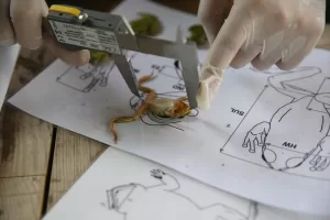 MARDİN (AA) – HALİL İBRAHİM SİNCAR – Akdeniz ile Doğu