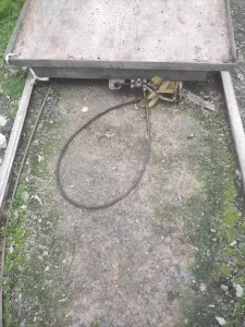 ANTALYA (AA) – Antalya'nın Alanya ilçesinde muzları taşımak için sera