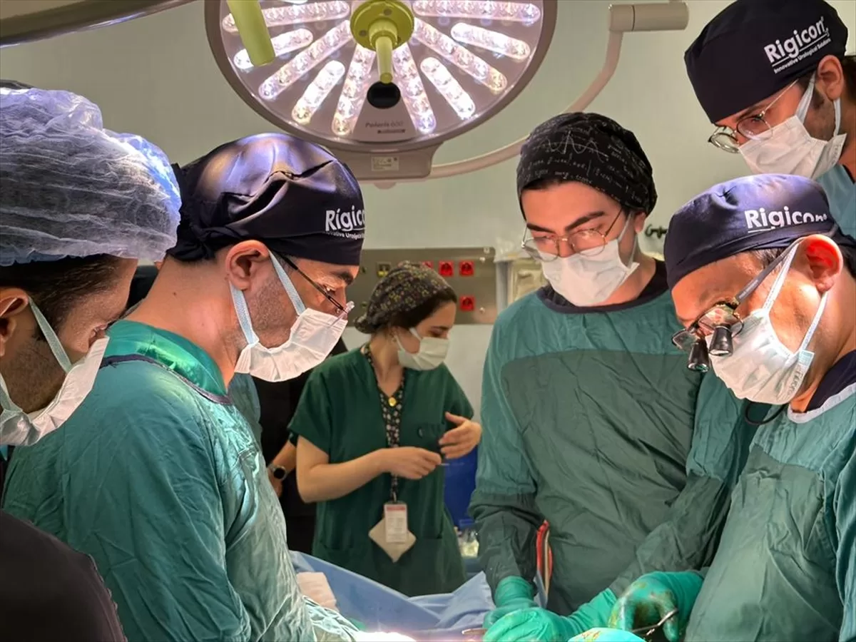 Alman ve ABD'li doktorlardan Başakşehir Çam ve Sakura Şehir Hastanesi'ne ziyaret