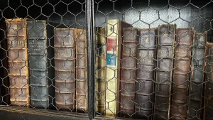 MANCHESTER (AA) – ZUHAL DEMİRCİ – İngiltere'nin Manchester kentinde 370