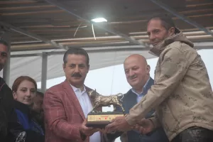 - Festival kapsamında yapılan boğa güreşlerinin baş boğası, geçen yılın