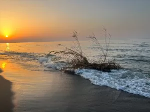 SAKARYA (AA) – Sakarya'da sağanağın ardından debisi yükselen Melen Çayı'ndan