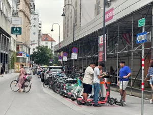 VİYANA (AA) – AŞKIN KIYAĞAN – Avusturya'da yerel yönetimler ve