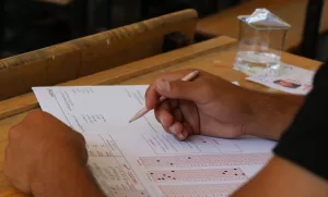 RASULAYN (AA) – Barış Pınarı Harekatı ile terör örgütü PKK/YPG'den