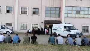 BİNGÖL (AA) – Bingöl’ün Karlıova ilçesinde bir kişi arı sokması