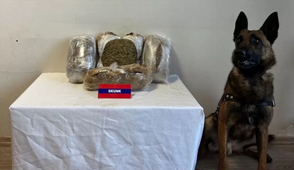 Bolu'da yolcu otobüsünde 5 kilo 75 gram sentetik uyuşturucu ele geçirildi