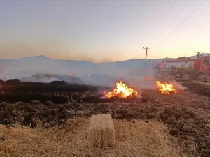 BURDUR (AA) – Burdur'un Bucak ilçesinde çıkan yangında, yaklaşık 200