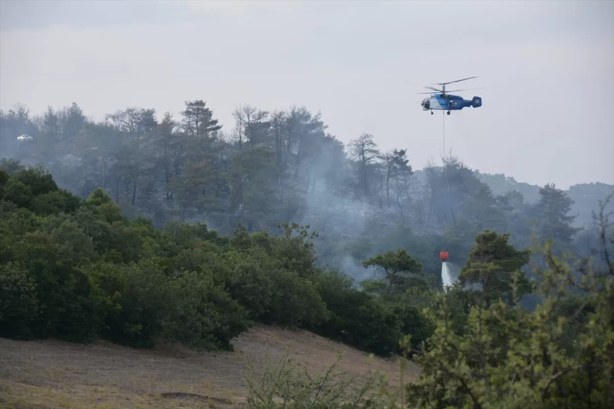 GÜNCELLEME 3 – Çanakkale'deki orman yangını kontrol altına alındı