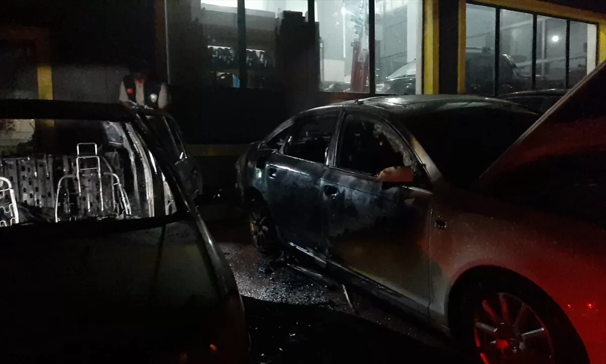 - Kundakçının görüntüsü güvenlik kamerasına yansıdı