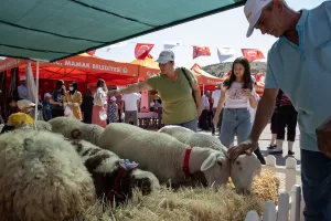 ANKARA (AA) – Mamak Belediyesinin kırsal turizmi canlandırmak amacıyla "Tarımda