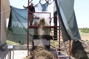 ELAZIĞ (AA) – SUAT ÖZTÜRK – Elazığ'da aldıkları eğitimle lavanta