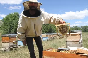 ERZİNCAN (AA) – ÖZGÜR İLHAN – Munzur Dağları'ndaki zengin çiçek