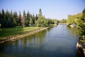 - Boğulma tehlikesi geçiren gençlerden birisi sudan hemen çıkarılırken kaybolan