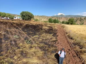 GİRESUN (AA) – Giresun'un Şebinkarahisar ilçesinde buğday tarlasında çıkan yangında