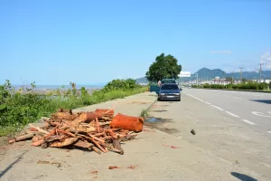 GİRESUN (AA) – Giresun'da şiddetli yağışla derelerden denize sürüklenen ağaç