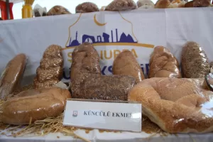 ŞANLIURFA (AA) – UNESCO Dünya Mirası Listesi'nde bulunan, 12 bin