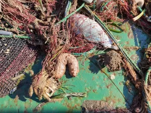 ÇANAKKALE (AA) – BURAK AKAY – Çanakkale Onsekiz Mart Üniversitesi