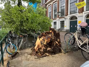 - Olumsuz hava koşulları nedeniyle çok sayıda hava ve demir