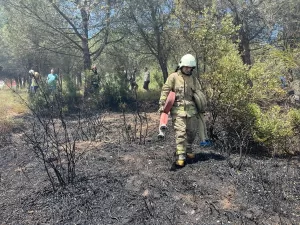 İSTANBUL (AA) – Sultangazi'de ormanlık alanda çıkan yangına itfaiye ekipleri