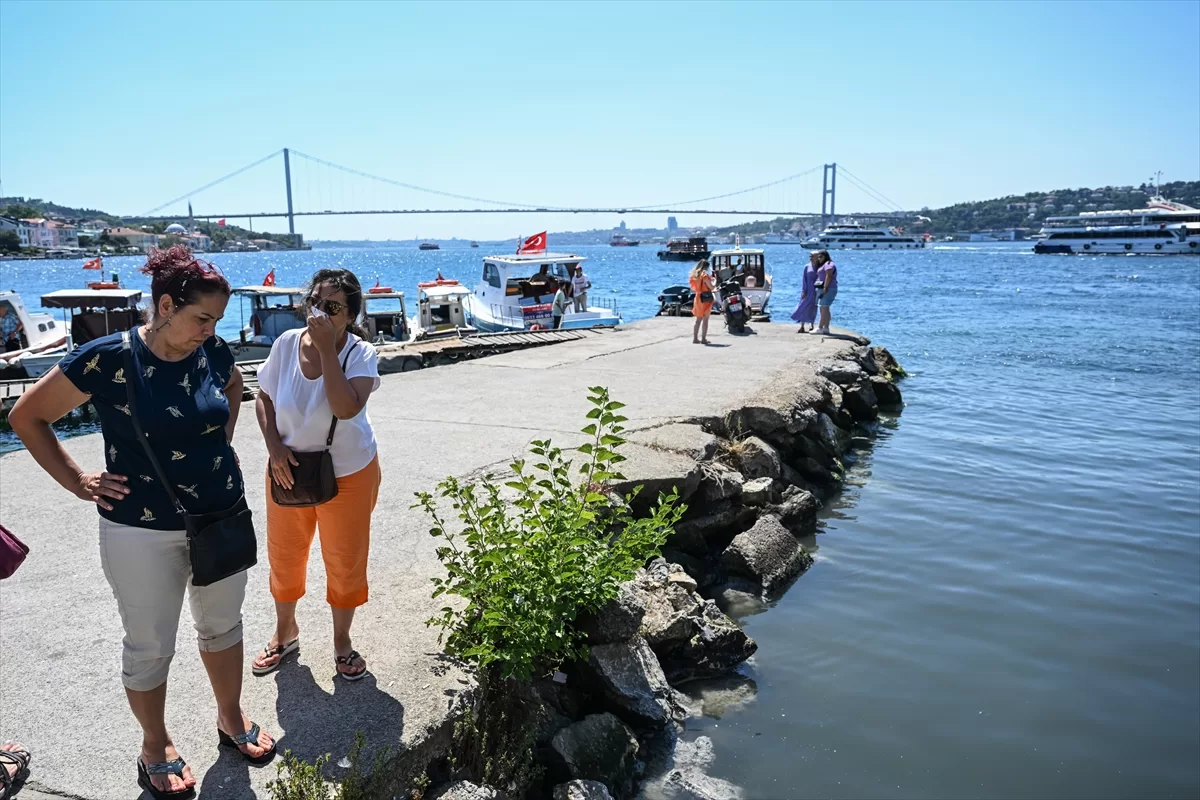 İstanbul'daki bazı dereler Boğaz'ı ve Marmara Denizi'ni kirletmeye devam ediyor