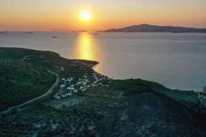 İZMİR (AA) – İzmir'in Aliağa ilçesinde çıkan orman yangını, ekiplerin