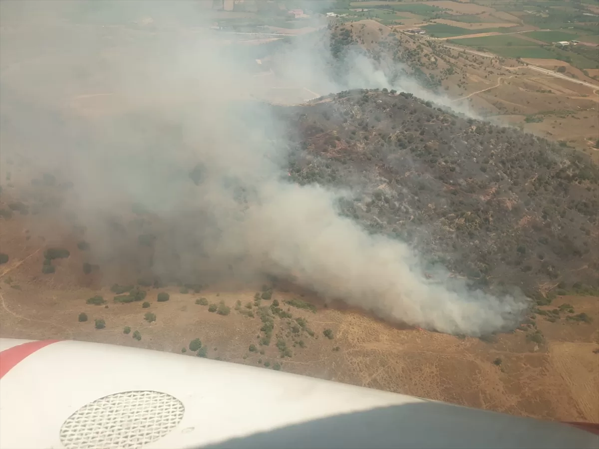 İzmir'de tarlada başlayan ve bozuk ormana sıçrayan yangına müdahale ediliyor