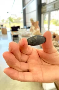 İZMİR (AA) – İzmir'in Bornova ilçesinde yürütülen Yeşilova Höyüğü kazısında