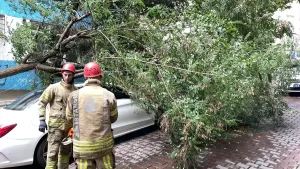 - Olay anı güvenlik kamerasınca görüntülendi 