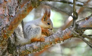 KARS (AA) – Türkiye'nin en yüksek yerleşim yerlerinden, 2 bin