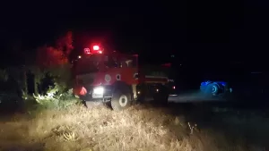 MANİSA (AA) – Manisa’nın Kula ilçesinde zeytinlik ve otluk alanda