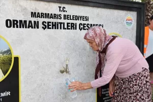 MUĞLA (AA) – Muğla'da 2021'de yaşanan büyük orman yangınlarında hayatlarını