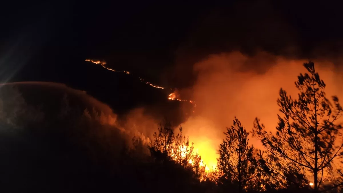 GÜNCELLEME – Mersin Gülnar'da orman yangını