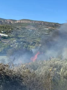 MERSİN (AA) – Silifke ilçesinde çıkan orman yangını havadan ve