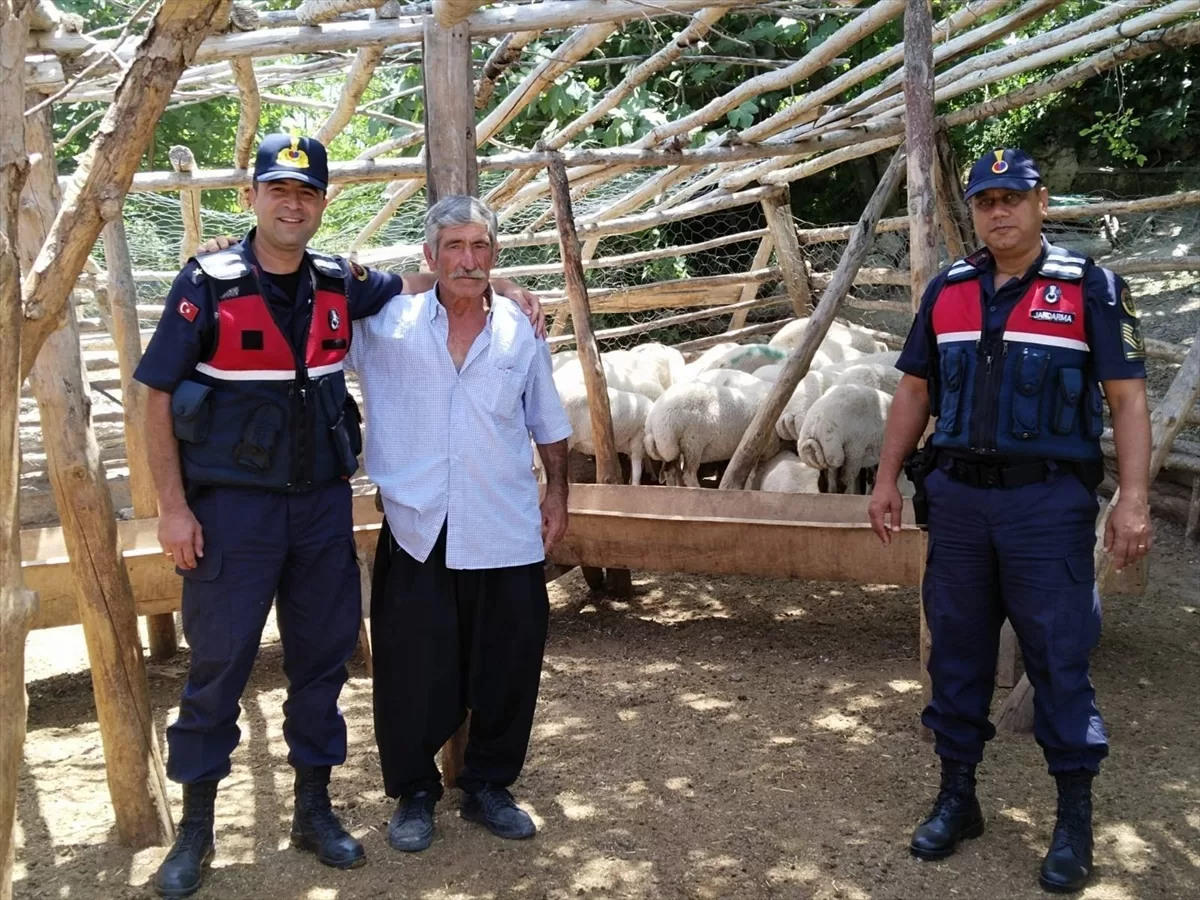 Mersin'de küçükbaş hayvan çalan 2 kişi tutuklandı