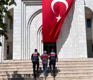 MUĞLA (AA) – Milas-Bodrum Havalimanı yolunda ormanlık alanda çıkan yangınla