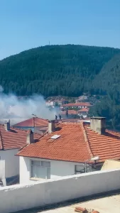 MUĞLA (AA) – Muğla'nın Ula ilçesinde fırında çıkan ve 4