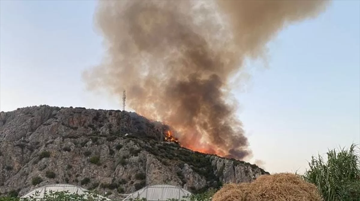 Muğla'da makilik alanda çıkan yangına müdahale ediliyor